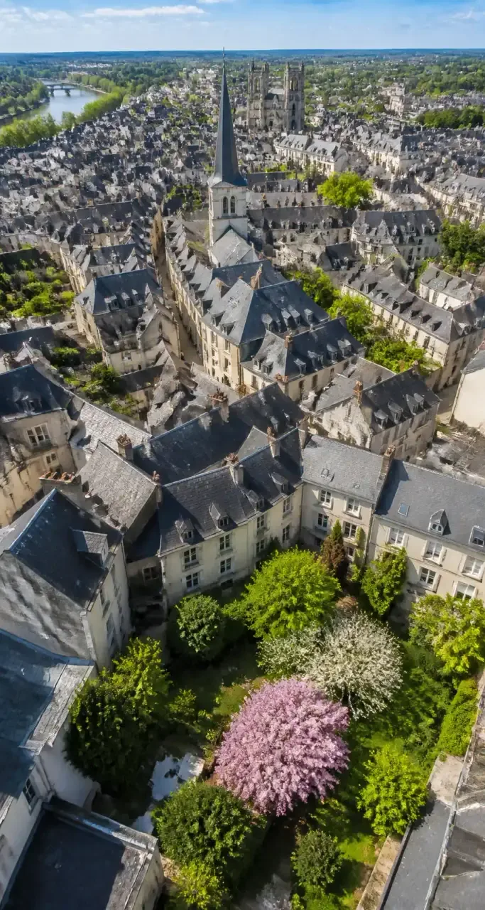 Vue aérienne des toits d'ardoise d'Angers, au printemps
