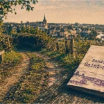 Randonnée saint sylvain d anjou : chemin de campagne vers le Loir