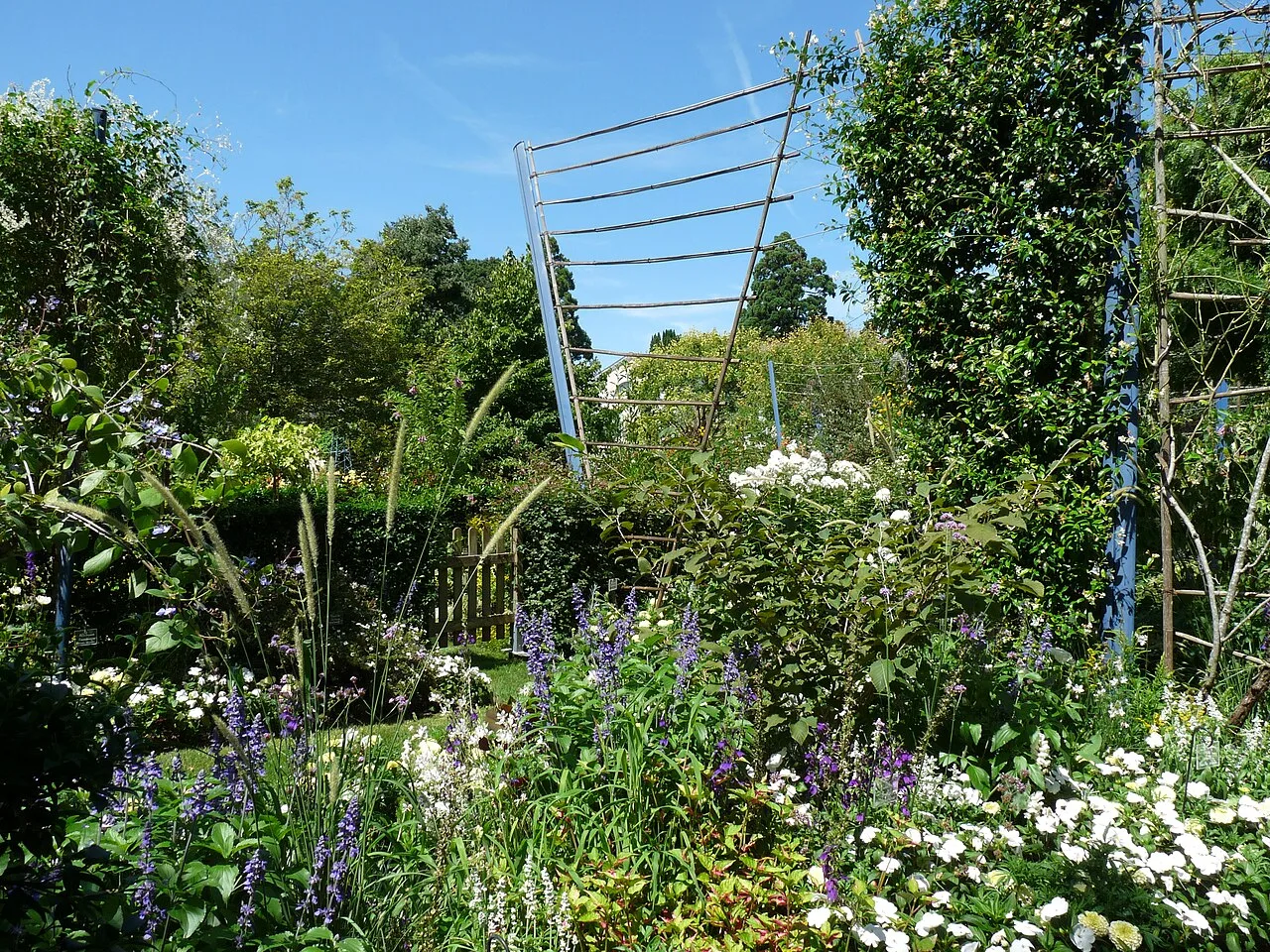 Arboretum Gaston Allard à Angers (49).
