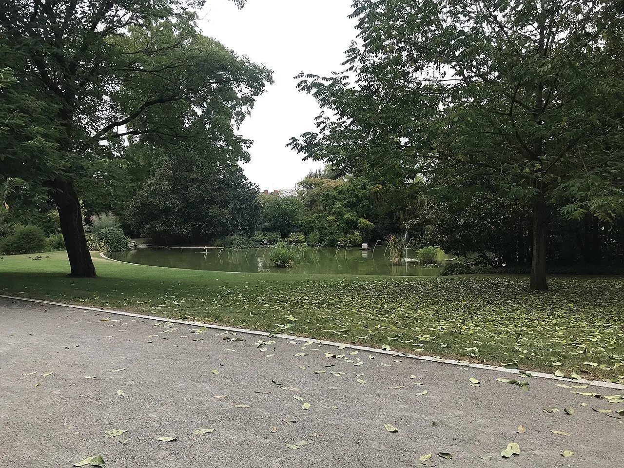 L'étang du jardin des plantes d'Angers à Angers (Maine-et-Loire).