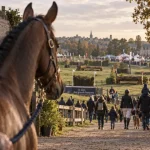 Mondial du Lion 2026 : quatre jours de concours complet au Lion-d’Angers