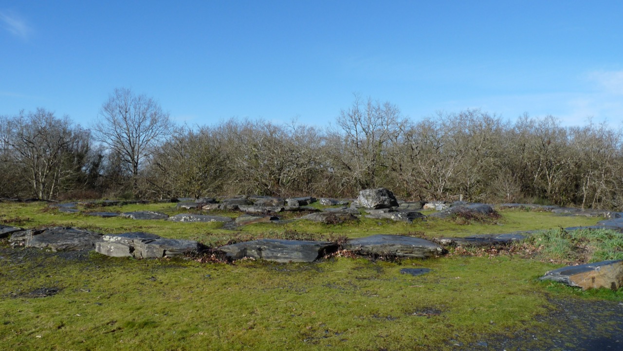 Blocs de schiste et végétation dans le parc des Ardoisières à Trélazé