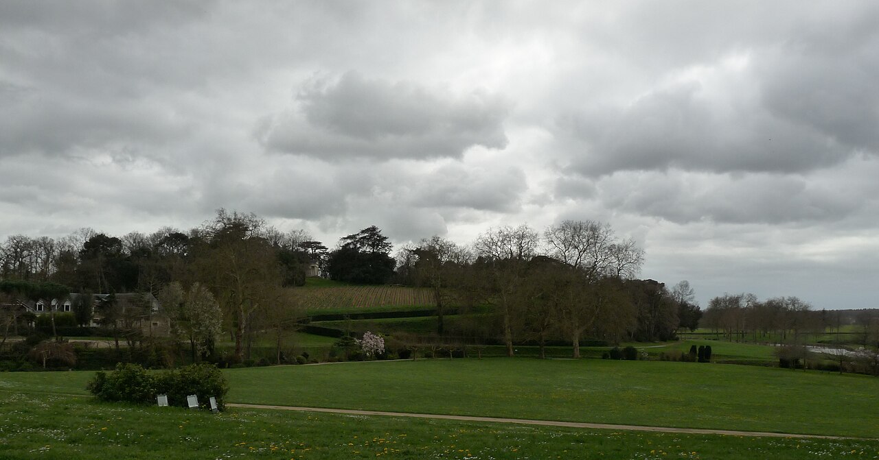 Pelouse et allées du parc paysager de Brissac