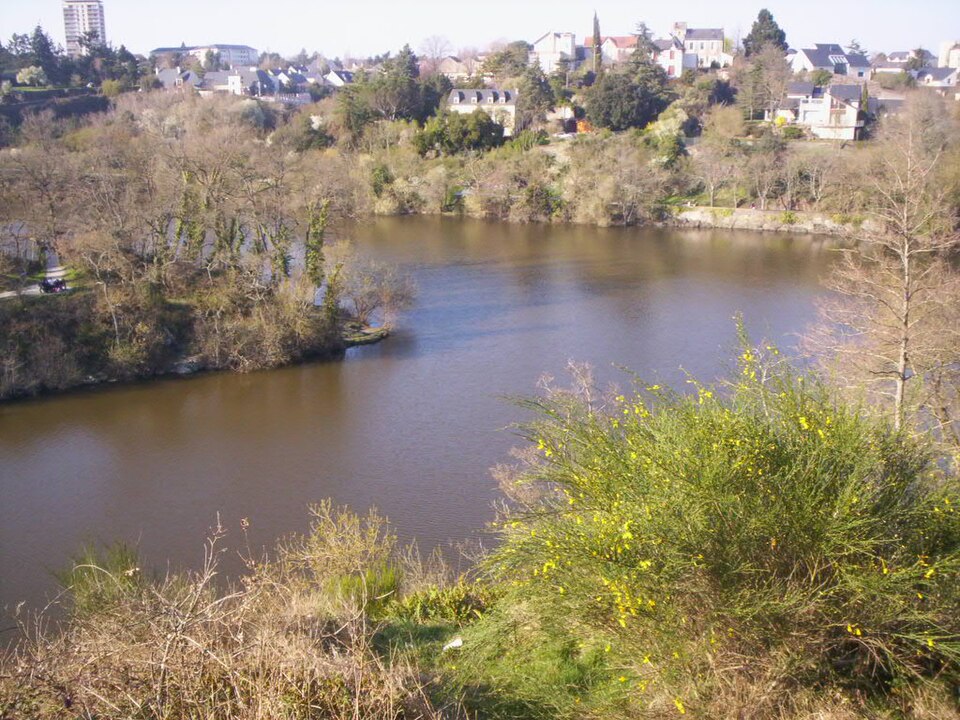 étang Saint-Nicolas à Angers, vue du parc de la Garenne